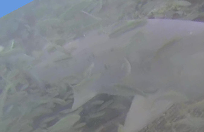 9045b6d9-a4ce-4928-ac34-52b11fb87d15