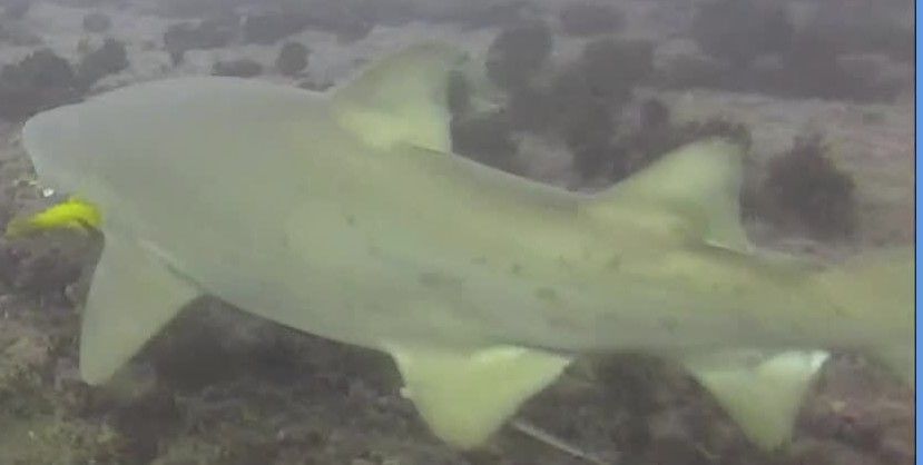 81ba2fa7-b76d-4199-b8a4-6e2f9430fb67