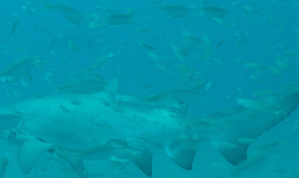 668e6ae5-7605-4b25-9fce-f58c77b91585