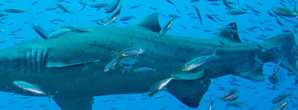 cdd34b0d-4bbd-467b-b06e-e5d80985be26