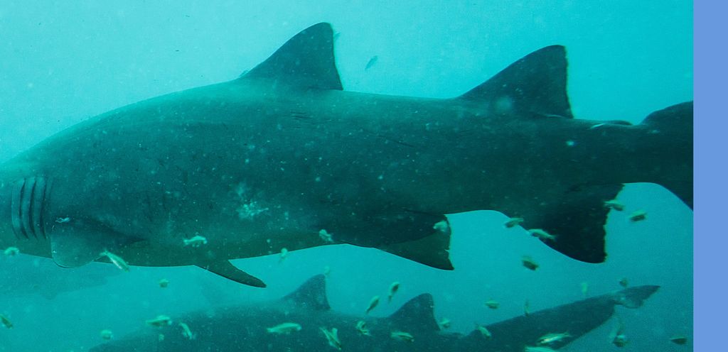 459ce1da-8c49-4e52-b747-6230ab032f2d