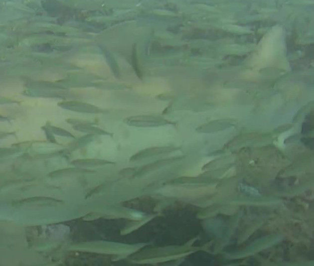 d30611ae-9752-429e-b567-e45b9bf07769