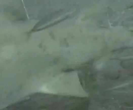 0f61ea0c-5386-400e-956b-1c670585e9ad