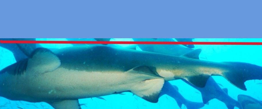 2b5309ca-a6af-4287-a072-b63a02be7a27