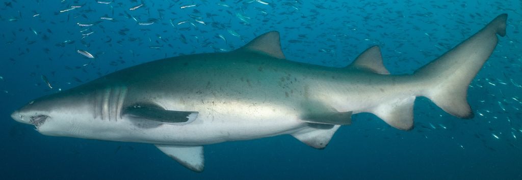 70f8fc6e-0682-46e2-bdcd-12259a4bb353