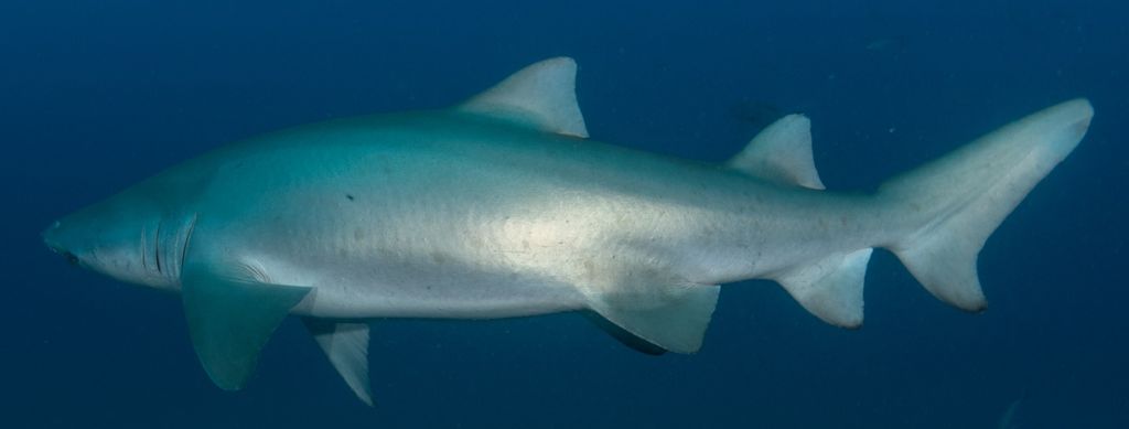 00b01859-0afc-4cf2-bcad-10e0cdfbcbe7