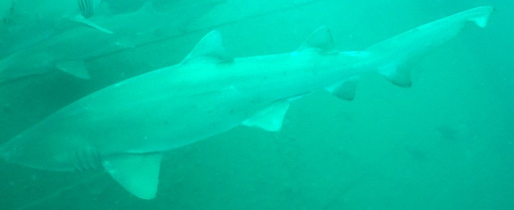 3ea1f943-77b1-43da-bd39-bcf5299deb0c