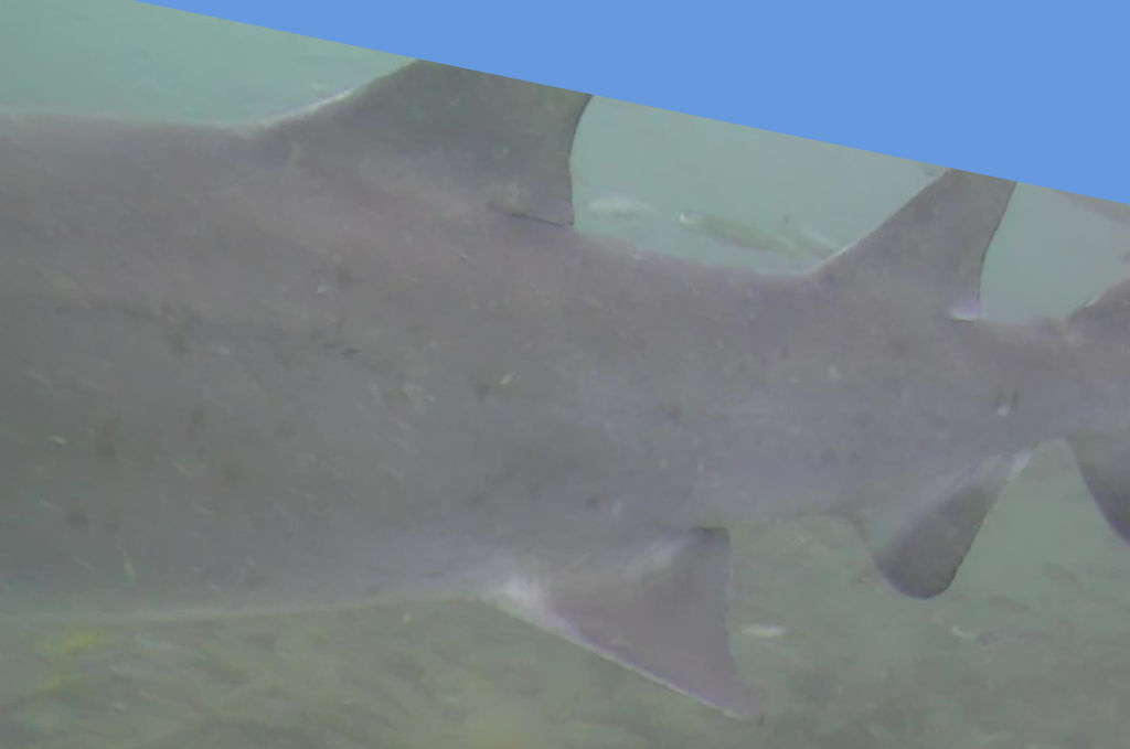 4baf6d6d-3671-43bd-9670-84ba7f69bd39