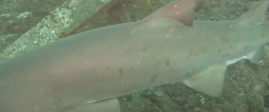 13082b81-61d0-459a-a19b-36bedff57cf5