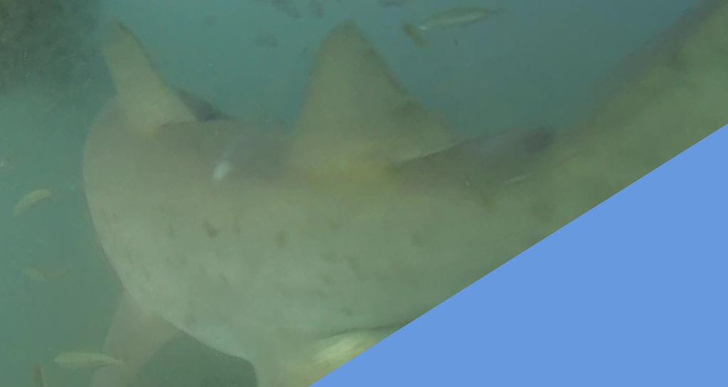 3f90d08f-cd01-4f33-b4e4-3f7076156839