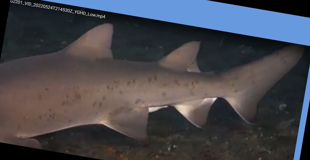 e6543f71-46e1-44c8-a9fb-8c49afb77e4f