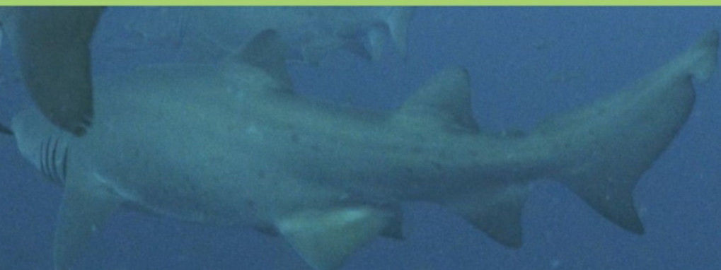 14c74fa8-f1dc-4c7b-b1eb-db8a67d4a472