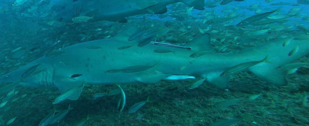 fd9a980e-1c17-4bac-8e95-ff4e610e4b6c