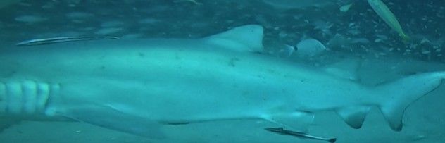 7e959115-1552-47b2-a56a-dbc3dd3711f9