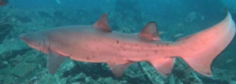 e9016b99-373c-467f-9325-014fb81bde65