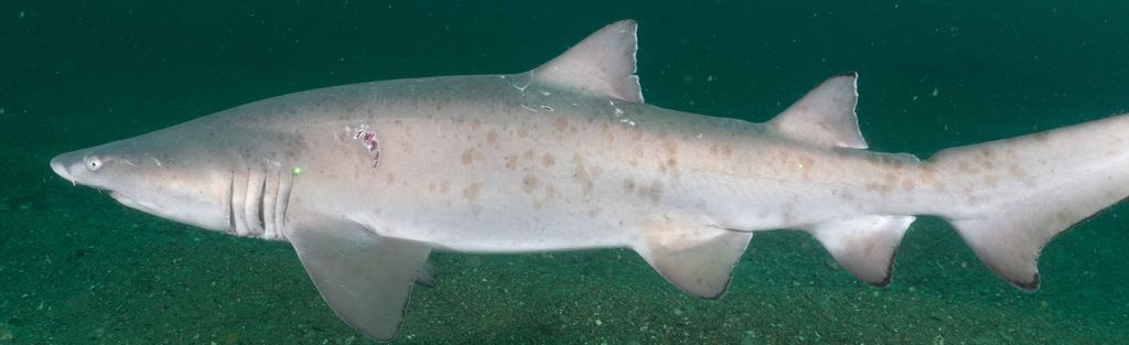 3674b903-b0f3-45c1-b518-54b9773f8b69