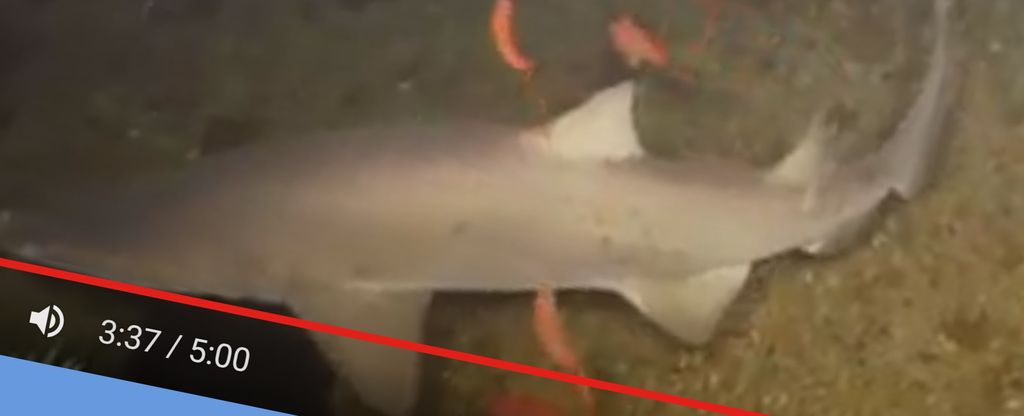 826b6cfa-4d9a-4519-acbb-ae7881063347