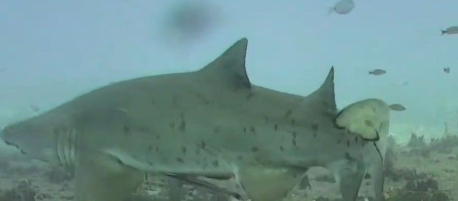 488b4847-d3c2-47c3-b21e-99b2fa4e865c