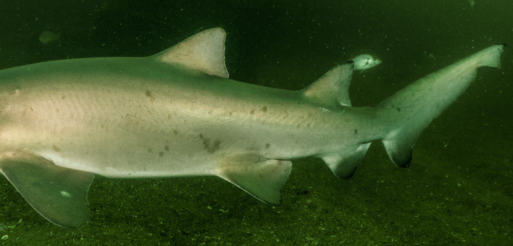 676d920b-d374-4451-8cf5-43af4a6d6729