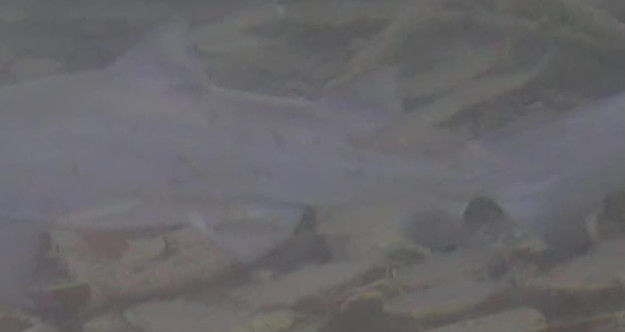 359c7b44-1b09-4174-8feb-e6b2cfc785a8