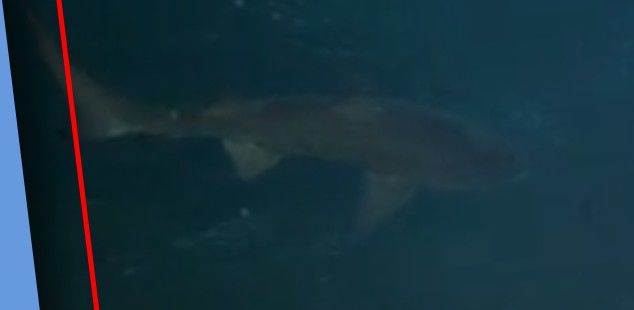 e989f42b-a564-42ce-95c0-b643a22d76a9