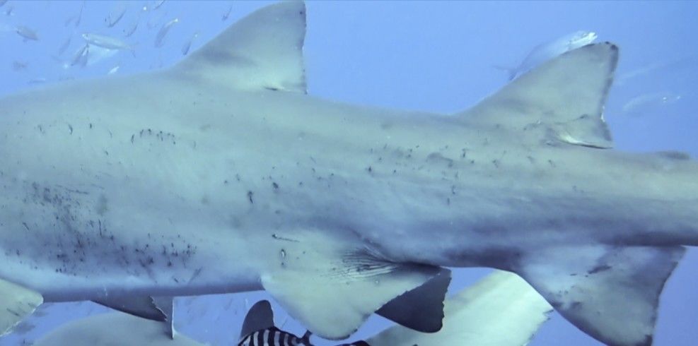 3548b608-4cb8-4fa8-babf-cf6569a88c69