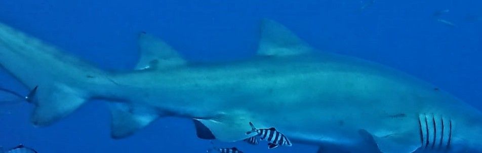 3548b608-4cb8-4fa8-babf-cf6569a88c69