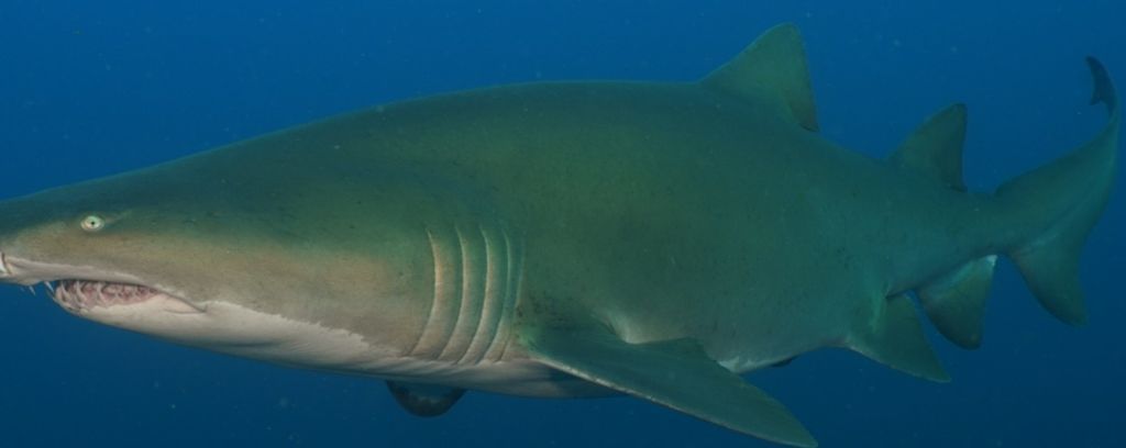 8dc960c0-d3cd-45eb-9a41-559a535ffd2a