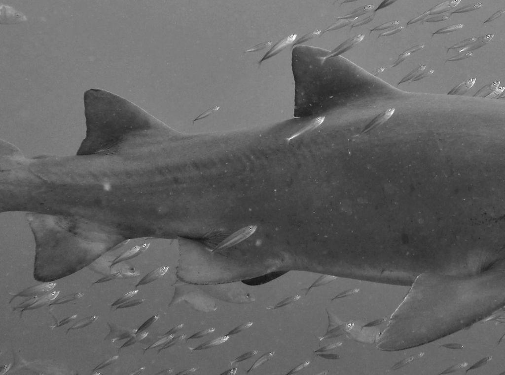 b2829143-7049-4ed7-9833-64af036a210e