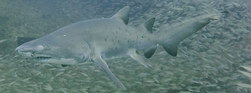 bf7971ef-fc78-42b4-83d0-695b98915129