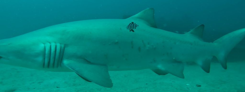 3d36e3cd-796c-431a-b677-d766e1a82da3