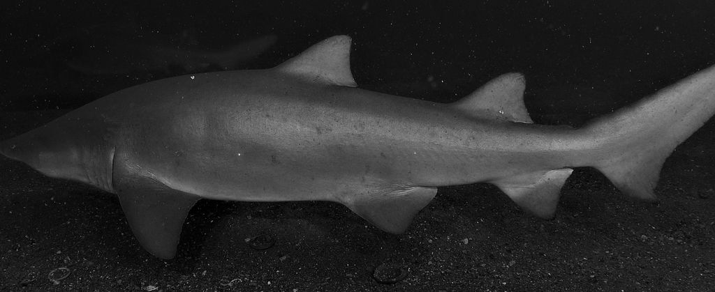 59965cbe-acf9-4bfd-ba8c-2215821dc253