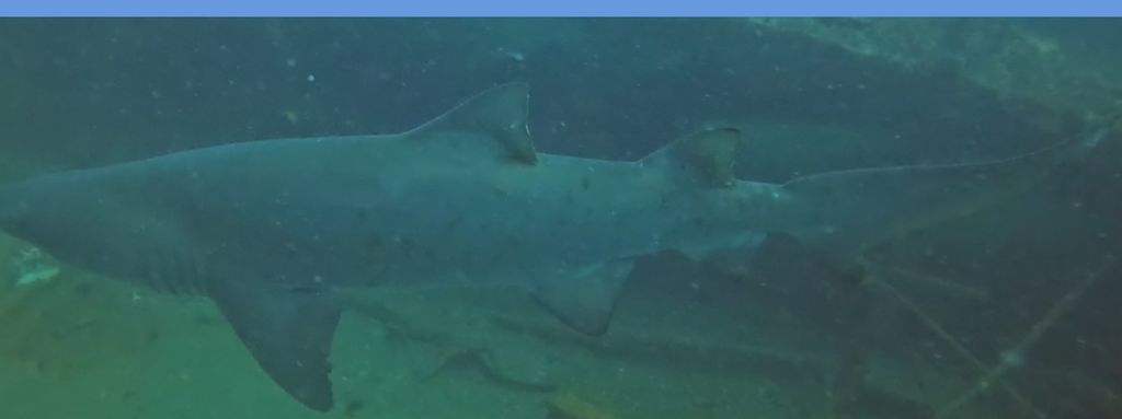 67c15b8e-d497-40bd-8adb-27b23163b093