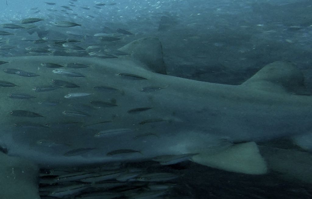 8299fb3c-633f-4f50-ad5c-c7a0b1472312