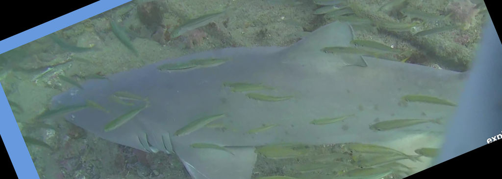 912760f7-46b6-4f31-8baa-97bc97442be6