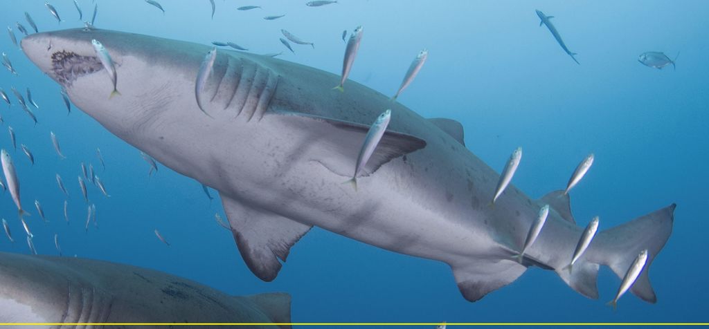 4260dfcf-94af-485c-846a-6cba56885fd8