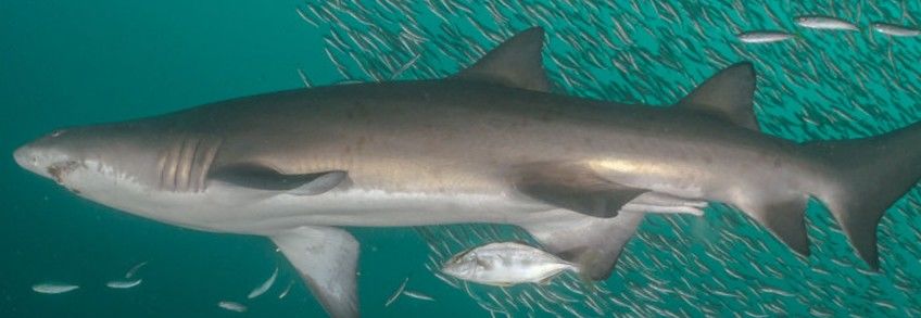 4f70147e-0608-48b2-9e7d-60d5068251be