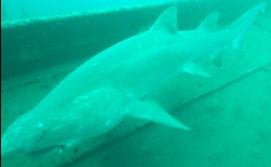 612f8372-8175-4e11-982e-8540ac9b4b35