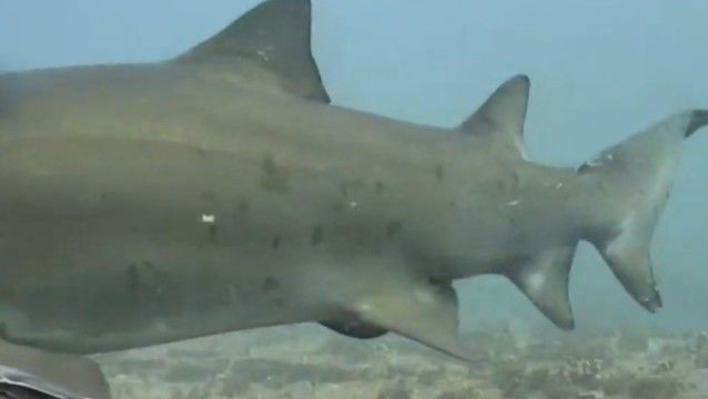 a1cad66c-3563-4f84-8f46-3446f9d72c17