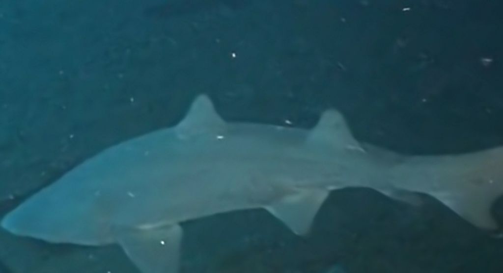 453c4897-ae65-4efc-8dae-248003a1f172