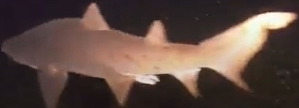 b99ba7de-6d45-4b21-9ffb-f48bf0cf60e6