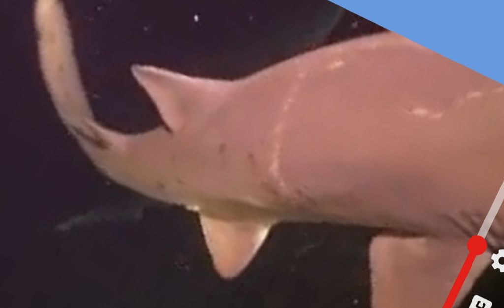 0304c413-2935-4676-a779-f0a1b32e0a06