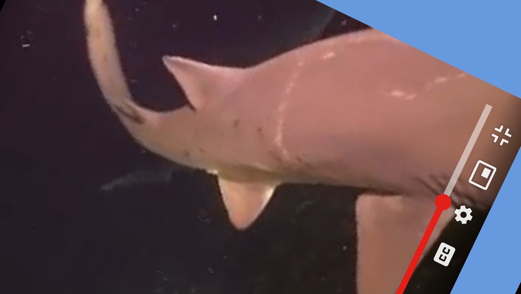 0304c413-2935-4676-a779-f0a1b32e0a06