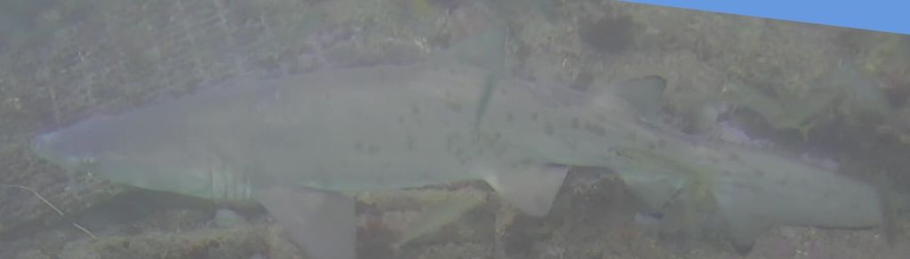 2045886b-8e0f-480c-9908-66fd17db420d