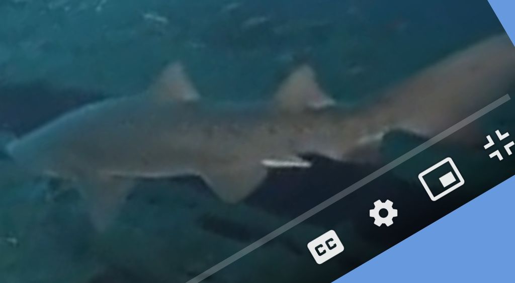 d54f619c-bd5a-4c99-9f0b-7a1ee2569ee0