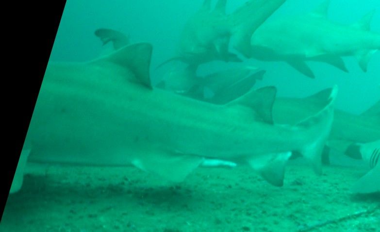 49e6fe73-16c1-48d7-a350-7e2e66b82647