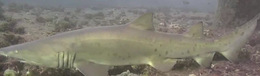 c46808a6-496c-41f8-9a3e-a0853b196997