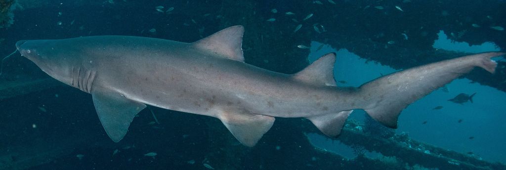 ab466e75-29de-4f89-8759-c50123ba94fa