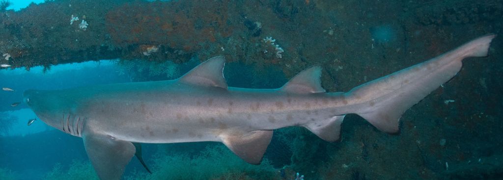 febc6572-35af-4dc8-af9c-6146d8f4ebd2