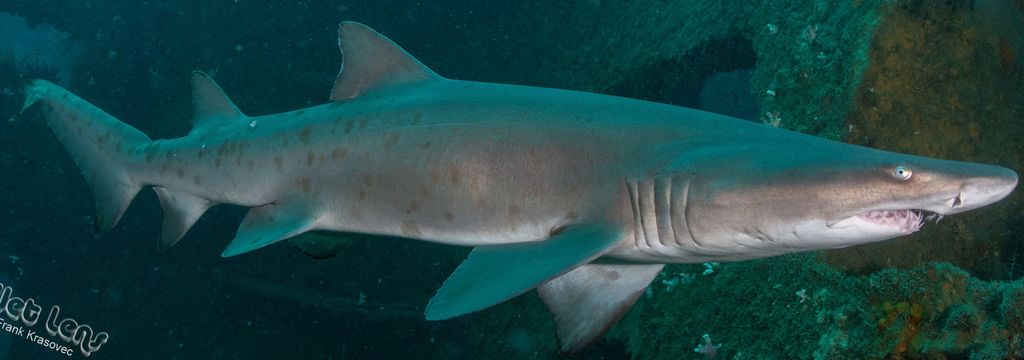 febc6572-35af-4dc8-af9c-6146d8f4ebd2